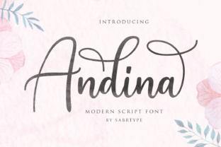 Andina Script: The Modern Typeface for Campaigns