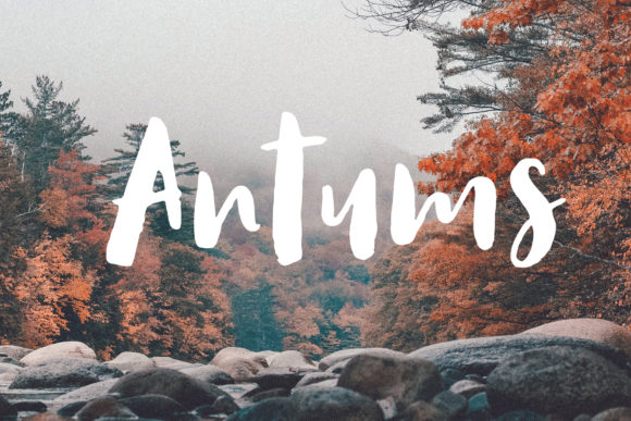 Antums: A Hand Drawn Brush Font for Striking Designs