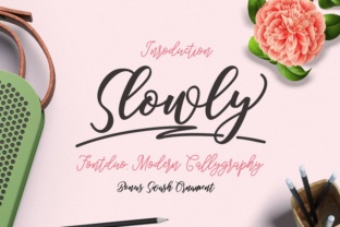 Slowly: The Elegant Script Font for Branding