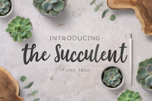 The Succulent Trio: A Feminine Script Font for Business