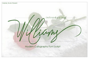 Williams: A Bold Script Font for Makers