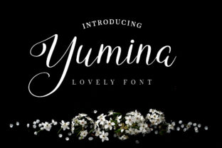 Yumina: The Script Font for Campaigns That Connect